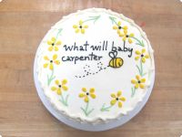Baby Shower/Gender Reveal Cakes