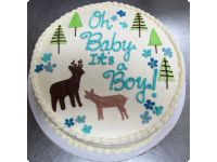 Baby Shower/Gender Reveal Cakes