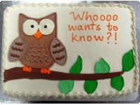 Baby Shower/Gender Reveal Cakes