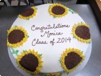 Graduation Cakes