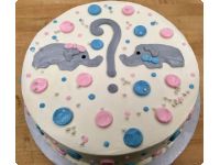 Baby Shower/Gender Reveal Cakes