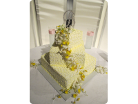 Bert's Bakery Custom Wedding Cake